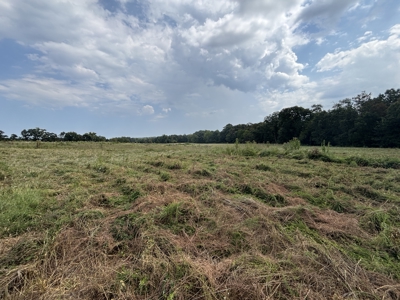 Richard's Ranch for Sale Near Rolla, MO | 574± Acres - image 14