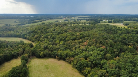 Richard's Ranch for Sale Near Rolla, MO | 574± Acres - image 9