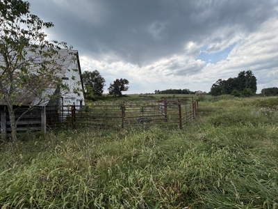 Richard's Ranch for Sale Near Rolla, MO | 574± Acres - image 7
