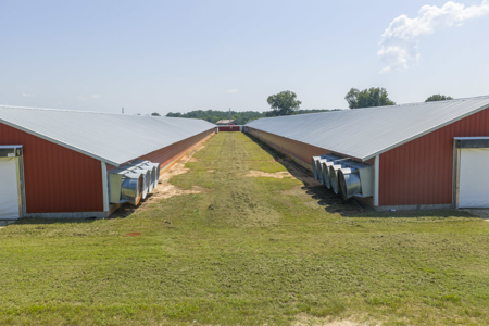 Rockingham Poultry Farm—Four 40' × 500' Breeder Houses - image 19