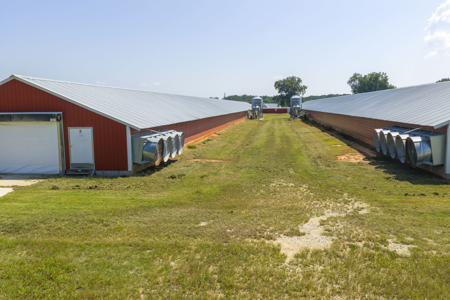 Rockingham Poultry Farm—Four 40' × 500' Breeder Houses - image 18