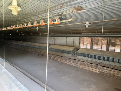 Rockingham Poultry Farm—Four 40' × 500' Breeder Houses - image 23