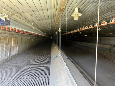 Rockingham Poultry Farm—Four 40' × 500' Breeder Houses - image 24