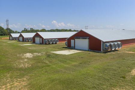Rockingham Poultry Farm—Four 40' × 500' Breeder Houses - image 16