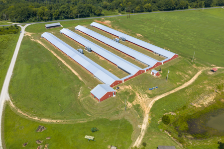 Rockingham Poultry Farm—Four 40' × 500' Breeder Houses - image 1