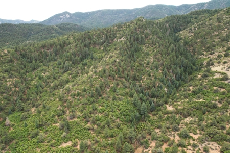 170.68 ± Acre Hunting Ranch by National Forest | Florence, CO - image 43