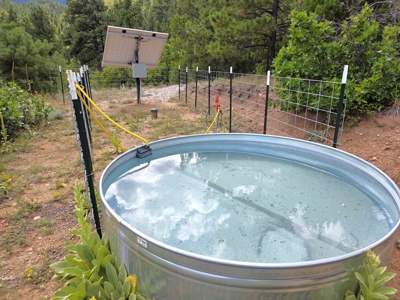 170.68 ± Acre Hunting Ranch by National Forest | Florence, CO - image 12