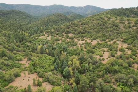 170.68 ± Acre Hunting Ranch by National Forest | Florence, CO - image 49