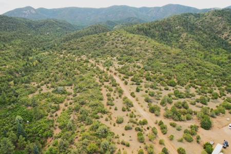 170.68 ± Acre Hunting Ranch by National Forest | Florence, CO - image 45