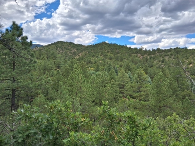 170.68 ± Acre Hunting Ranch by National Forest | Florence, CO - image 24