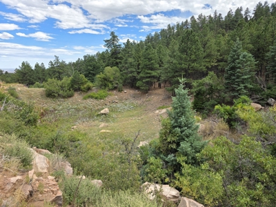170.68 ± Acre Hunting Ranch by National Forest | Florence, CO - image 20
