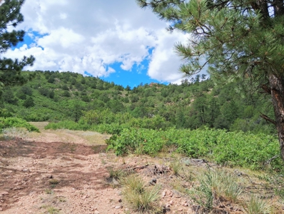 170.68 ± Acre Hunting Ranch by National Forest | Florence, CO - image 8