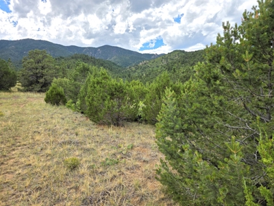 170.68 ± Acre Hunting Ranch by National Forest | Florence, CO - image 35