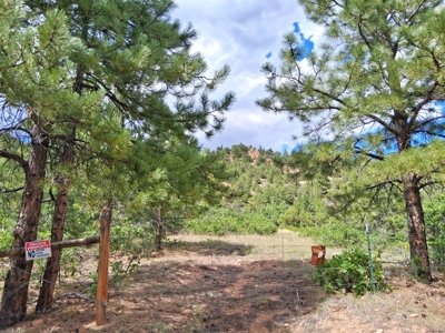 170.68 ± Acre Hunting Ranch by National Forest | Florence, CO - image 19