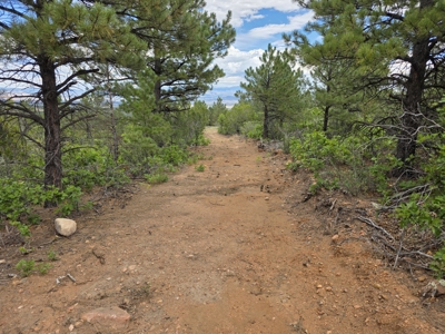 170.68 ± Acre Hunting Ranch by National Forest | Florence, CO - image 28