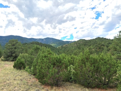 170.68 ± Acre Hunting Ranch by National Forest | Florence, CO - image 33