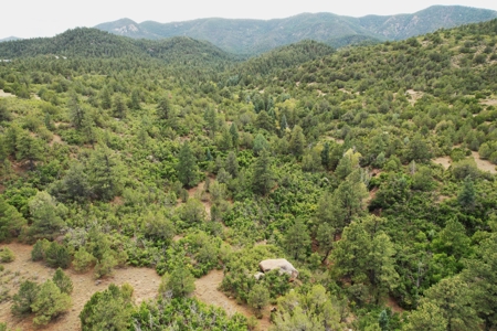 170.68 ± Acre Hunting Ranch by National Forest | Florence, CO - image 46