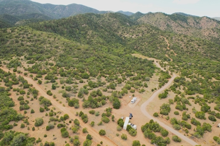 170.68 ± Acre Hunting Ranch by National Forest | Florence, CO - image 44