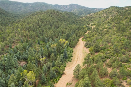 170.68 ± Acre Hunting Ranch by National Forest | Florence, CO - image 50