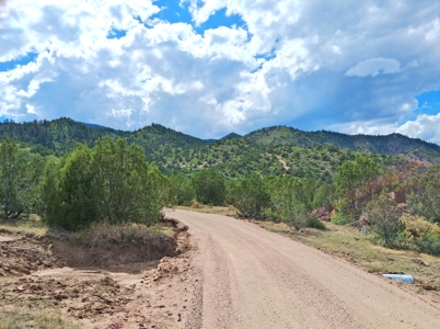 170.68 ± Acre Hunting Ranch by National Forest | Florence, CO - image 2