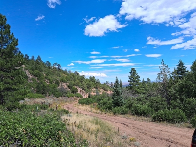 170.68 ± Acre Hunting Ranch by National Forest | Florence, CO - image 9