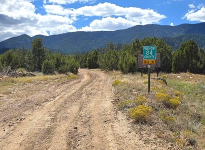 170.68 ± Acre Hunting Ranch by National Forest | Florence, CO - image 3