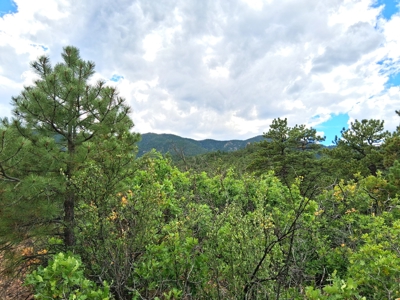 170.68 ± Acre Hunting Ranch by National Forest | Florence, CO - image 27