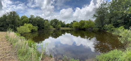 Exceptional 236 +/- Acre Estate | Hunting, Fishing, Recreational - image 29