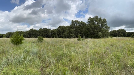 Exceptional 236 +/- Acre Estate | Hunting, Fishing, Recreational - image 26