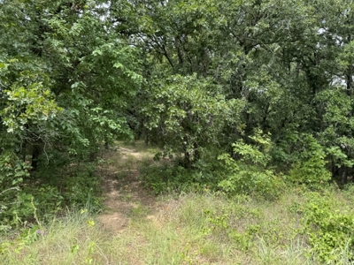 Exceptional 236 +/- Acre Estate | Hunting, Fishing, Recreational - image 27