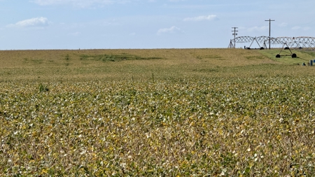 Irrigated Farm for Sale in Dawson County,  Nebraska - image 22