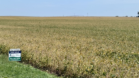 Irrigated Farm for Sale in Dawson County,  Nebraska - image 31