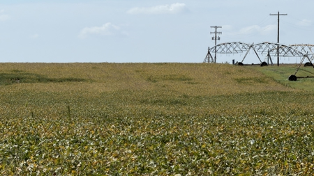 Irrigated Farm for Sale in Dawson County,  Nebraska - image 23