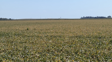 Irrigated Farm for Sale in Dawson County,  Nebraska - image 29