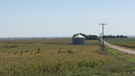 Irrigated Farm for Sale in Dawson County,  Nebraska - image 37