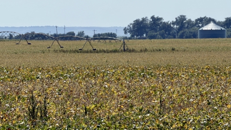 Irrigated Farm for Sale in Dawson County,  Nebraska - image 19