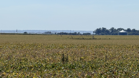 Irrigated Farm for Sale in Dawson County,  Nebraska - image 17