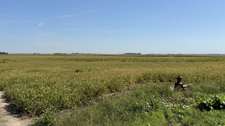 Irrigated Farm for Sale in Dawson County,  Nebraska - image 41