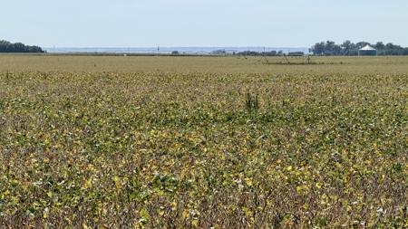 Irrigated Farm for Sale in Dawson County,  Nebraska - image 18