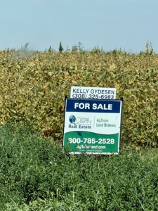 Irrigated Farm for Sale in Dawson County,  Nebraska - image 40