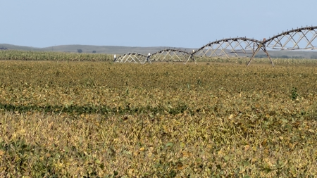 Irrigated Farm for Sale in Dawson County,  Nebraska - image 14