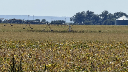 Irrigated Farm for Sale in Dawson County,  Nebraska - image 20