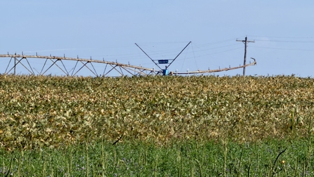 Irrigated Farm for Sale in Dawson County,  Nebraska - image 15