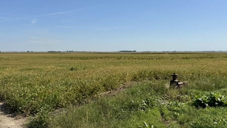 Irrigated Farm for Sale in Dawson County,  Nebraska - image 38