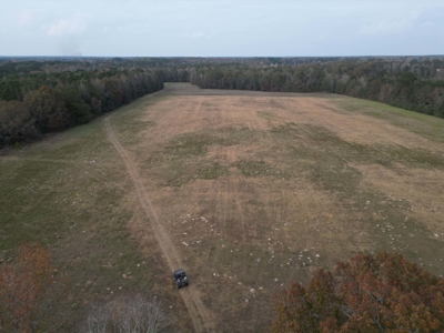 Prime 60 Acres in Fouke, AR –Build, Farm, or Hunt Near Texarkana - image 3