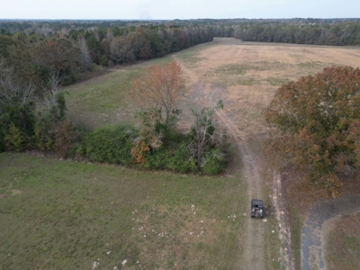 Prime 60 Acres in Fouke, AR –Build, Farm, or Hunt Near Texarkana - image 5