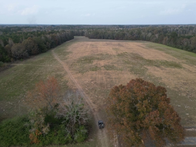 Prime 60 Acres in Fouke, AR –Build, Farm, or Hunt Near Texarkana - image 4