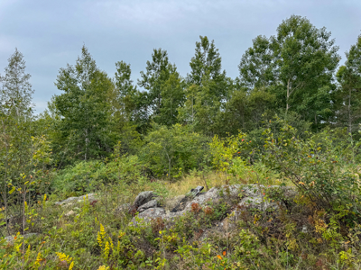 Coastal Home for sale Downeast - Lubec, Maine - image 14