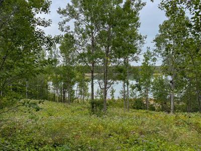 Coastal Home for sale Downeast - Lubec, Maine - image 17