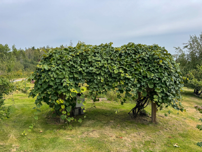 Coastal Home for sale Downeast - Lubec, Maine - image 19